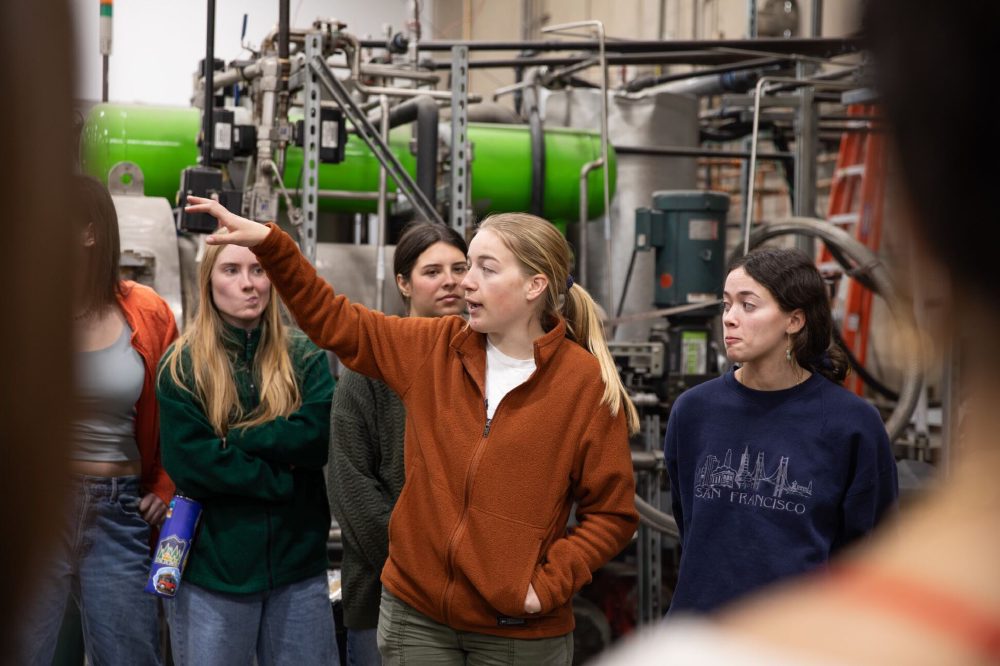 Students Discover Waste-Reduction Innovations for Retail